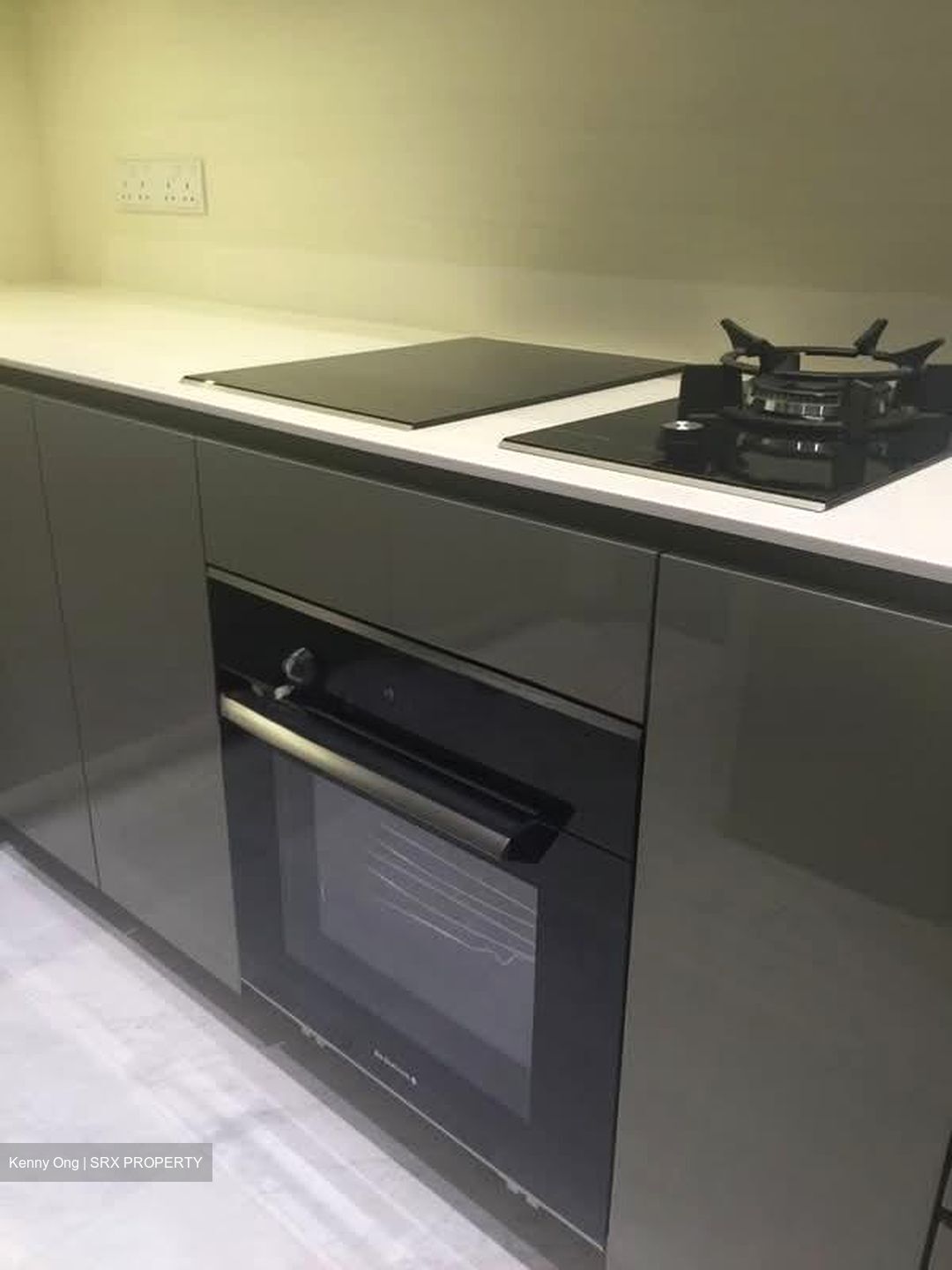 Robin Residences (D10), Condominium #558394181